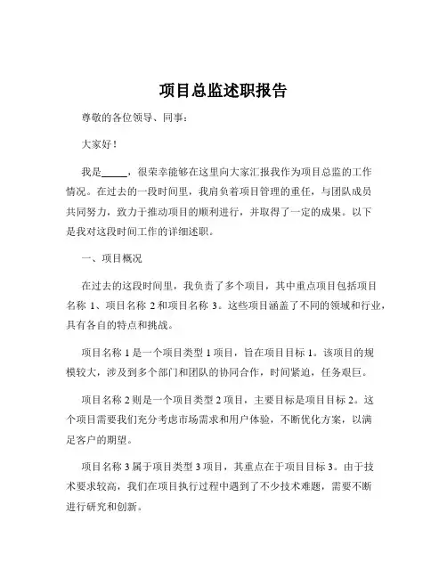 项目总监述职报告