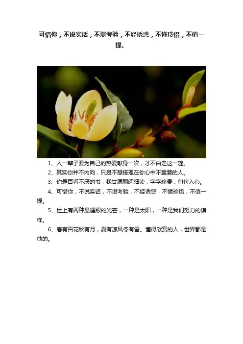 可惜你，不说实话，不堪考验，不经诱惑，不懂珍惜，不值一提。