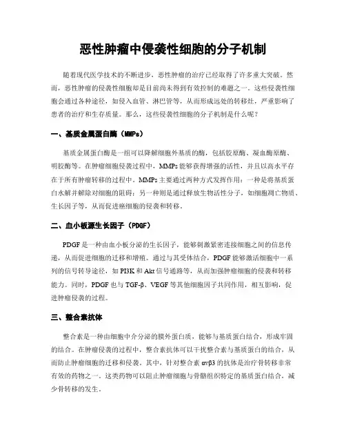 恶性肿瘤中侵袭性细胞的分子机制