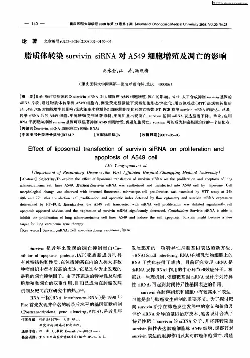 脂质体转染survivin siRNA对A549细胞增殖及凋亡的影响