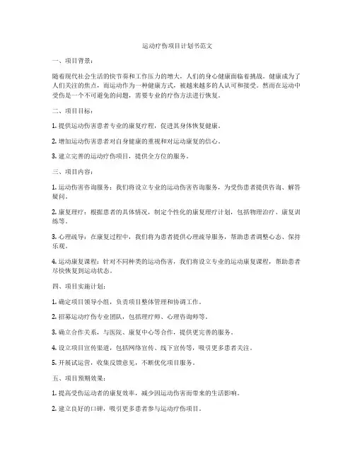运动疗伤项目计划书范文