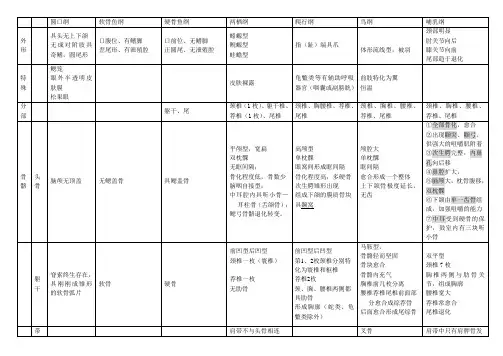 动物学各纲特点