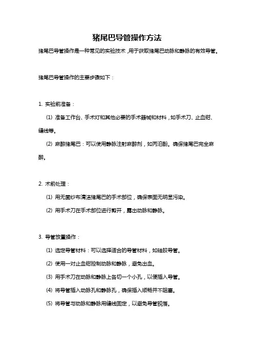 猪尾巴导管操作方法