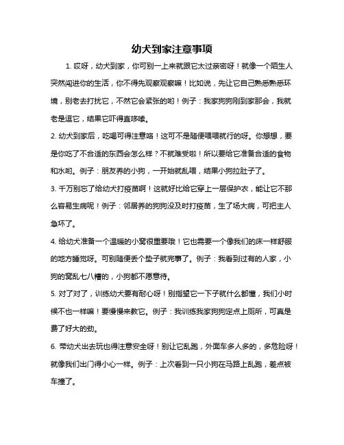 幼犬到家注意事项