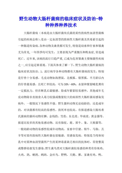野生动物大肠杆菌病的临床症状及防治 - 特种种养种养技术