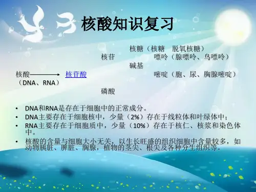 核酸类药物的生产