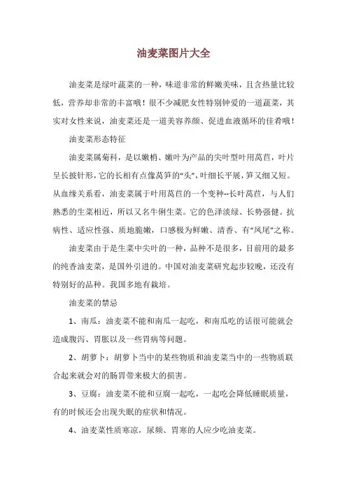 油麦菜图片大全