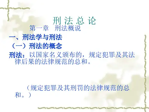 刑法总论