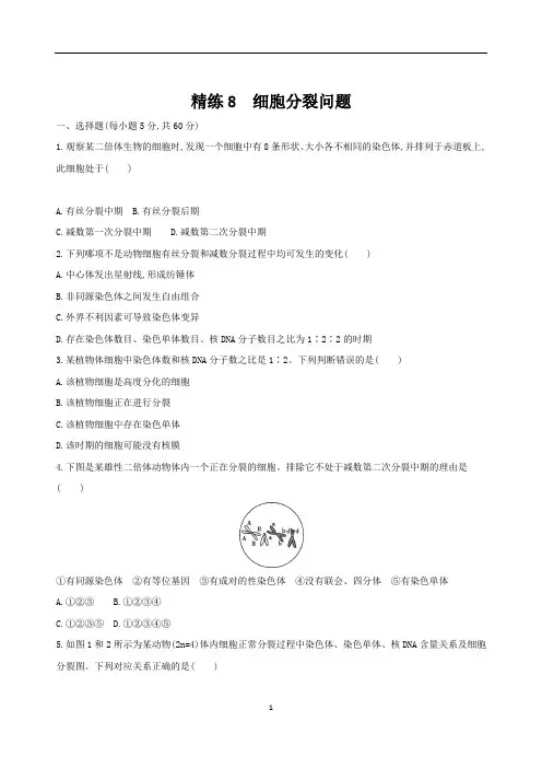 高三生物专题精练8 细胞分裂问题