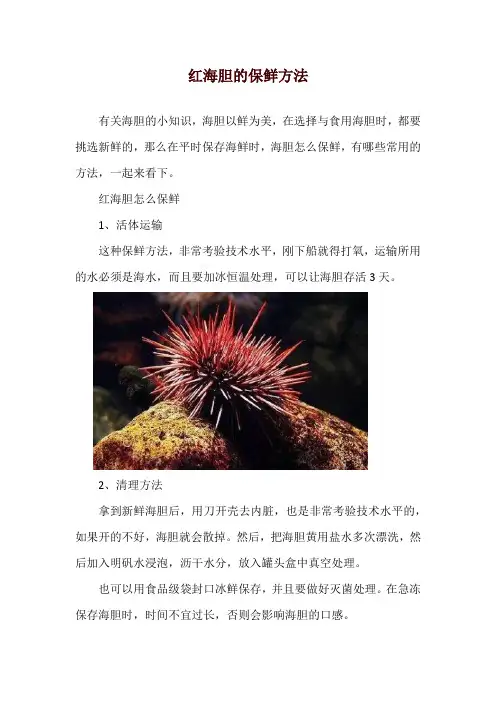 红海胆的保鲜方法