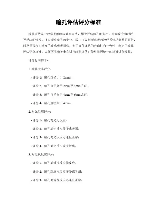 瞳孔评估评分标准
