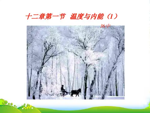 福建省福州市九年级物理 121《温度与内能》课件