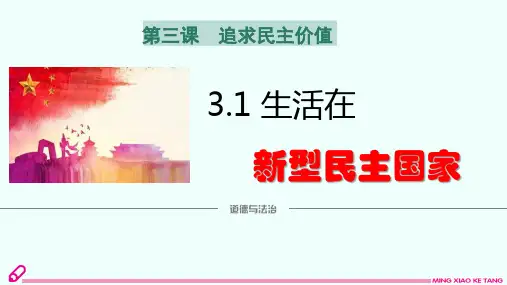 部编版 九年级上 道德与法治  第三课 追求民主价值