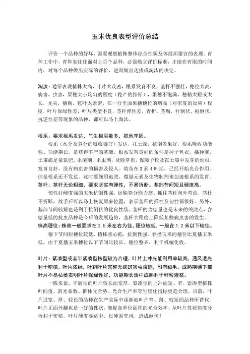 玉米优良表型评价总结