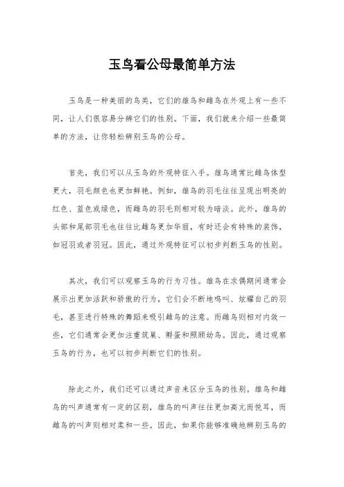玉鸟看公母最简单方法