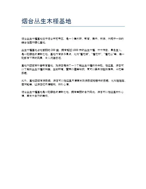 烟台丛生木槿基地