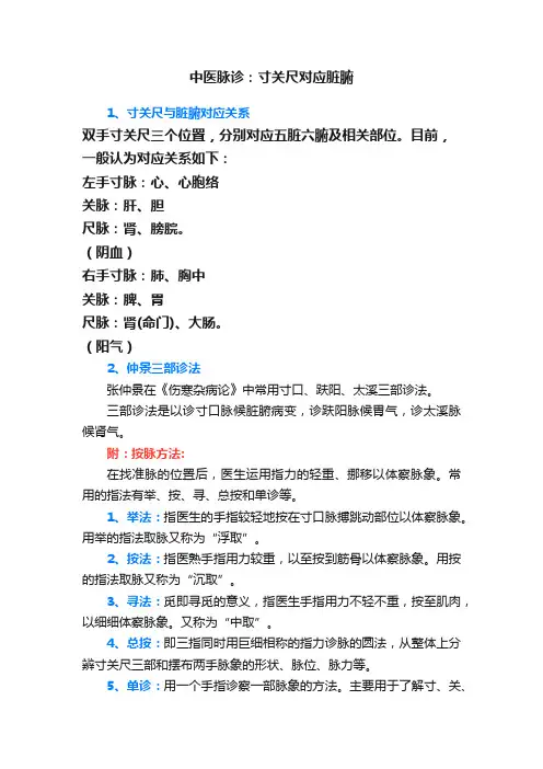 中医脉诊：寸关尺对应脏腑