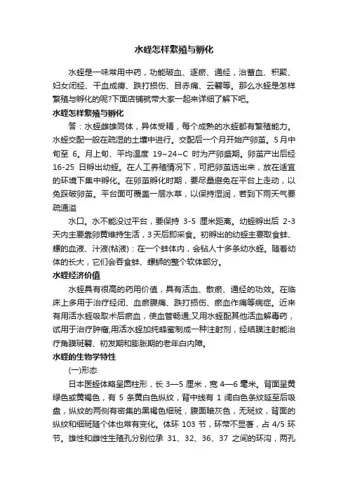 水蛭怎样繁殖与孵化
