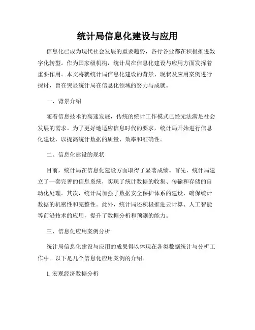 统计局信息化建设与应用