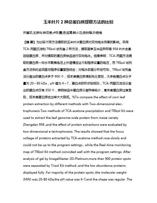 玉米叶片2种总蛋白质提取方法的比较