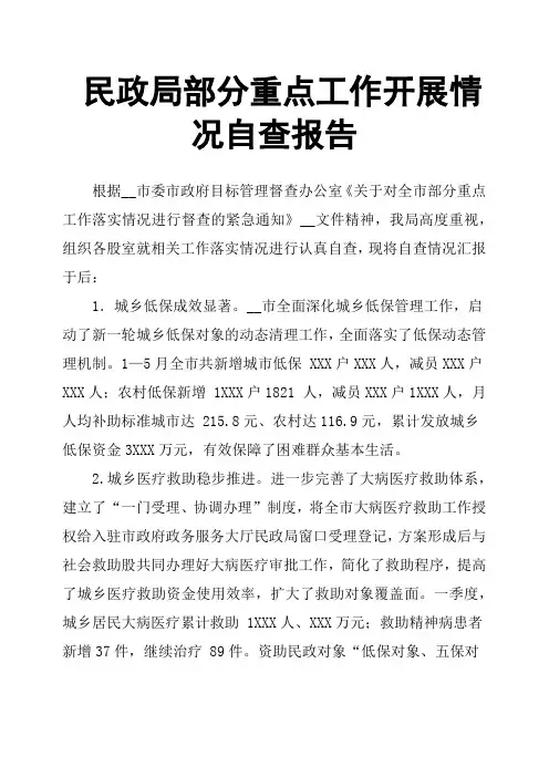 民政局部分重点工作开展情况自查报告