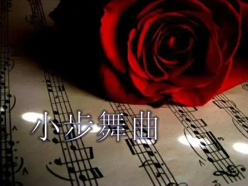 《小步舞曲》PPT课件3