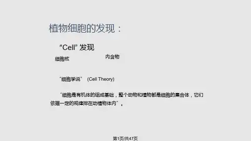 植物细胞基本结构PPT课件