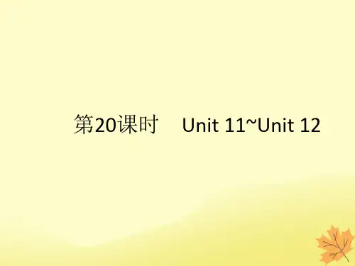 甘肃省2019年中考英语(课标通用)总复习第20课时九全Unit11_12课件
