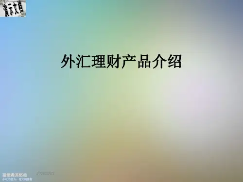 外汇理财产品介绍