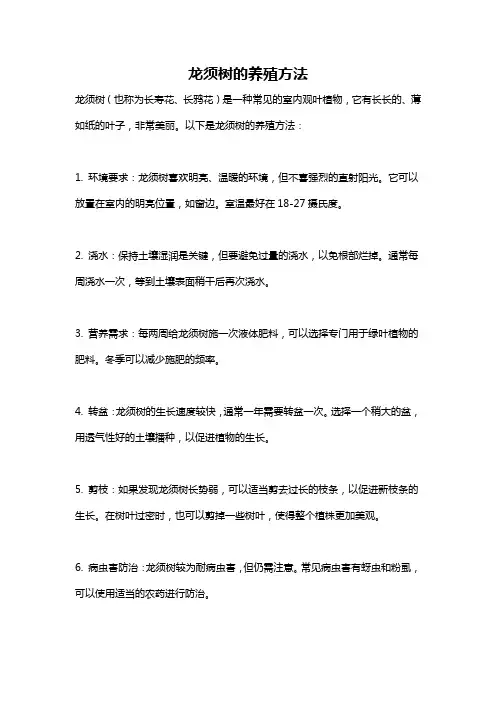 龙须树的养殖方法