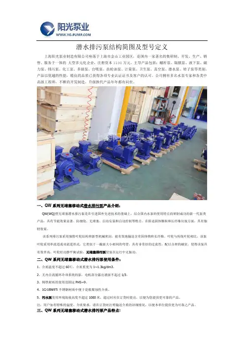 潜水排污泵结构简图及型号定义