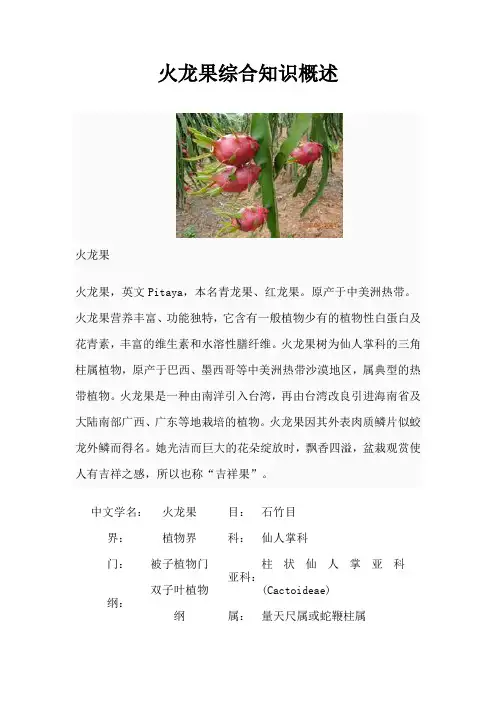 火龙果综合知识概述