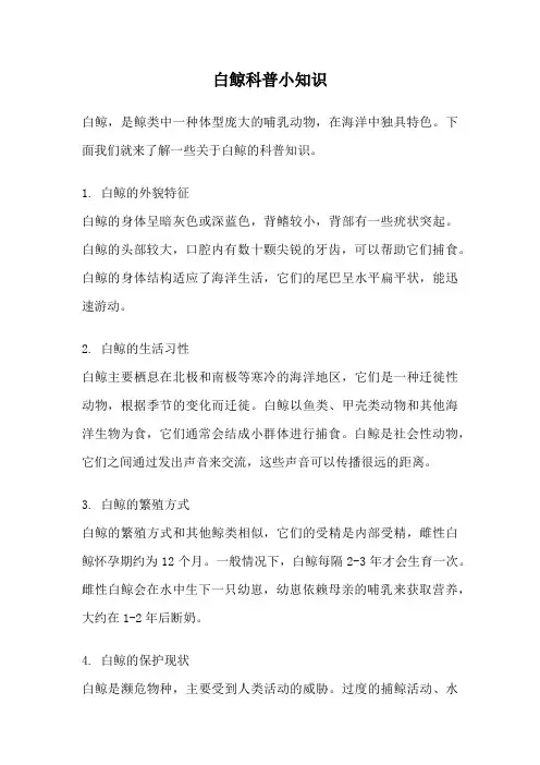 白鲸科普小知识
