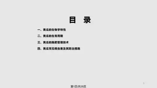 黄瓜施肥与管理技术PPT课件