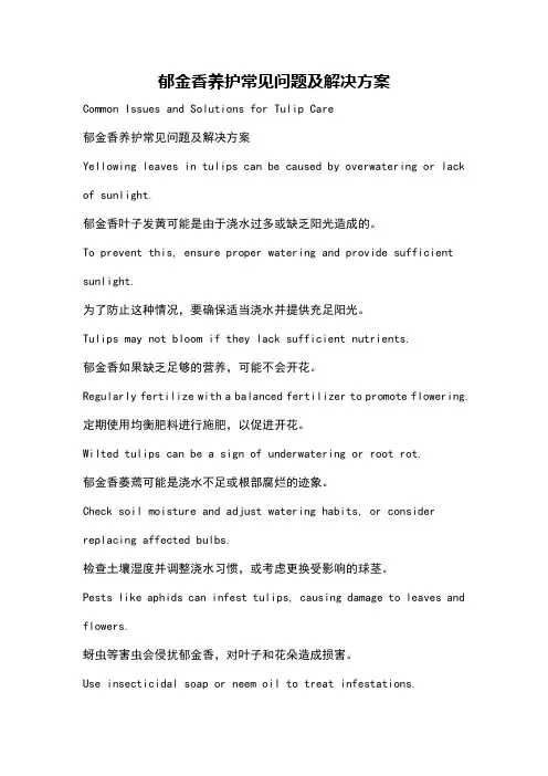 郁金香养护常见问题及解决方案