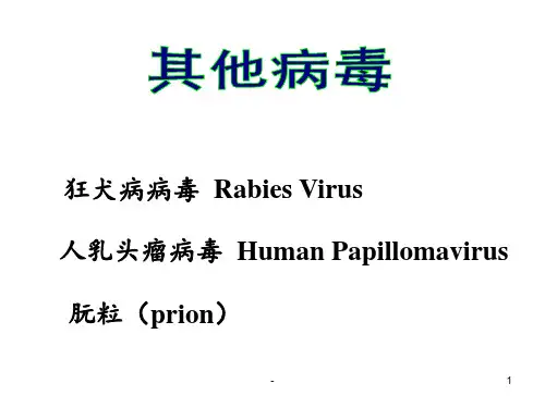 微33-其他病毒及朊粒PPT课件