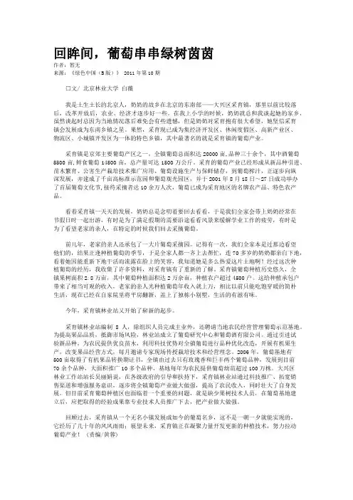 回眸间,葡萄串串绿树茵茵