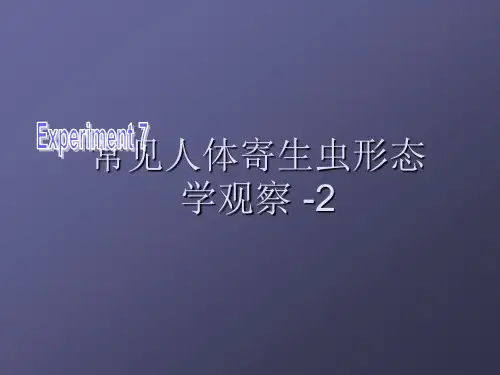 寄生虫形态观察ppt课件