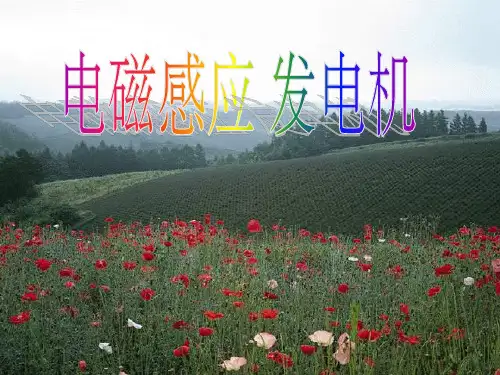 《电磁感应、发电机》ppt1