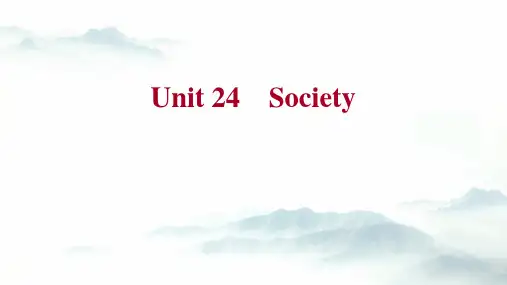 高考英语复习北师大版课本同步课件：选修8 Unit24  Society