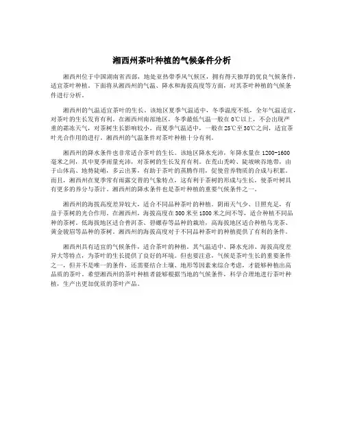 湘西州茶叶种植的气候条件分析