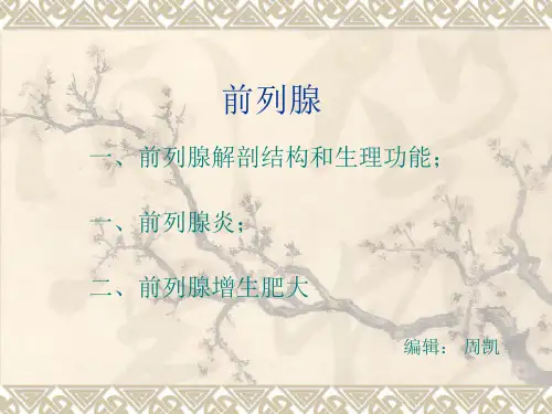 前列腺