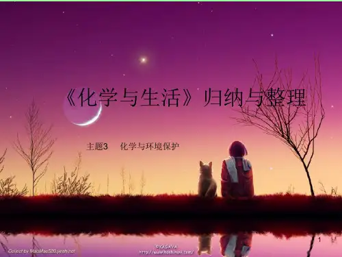 主题3  化学与环境保护ppt课件