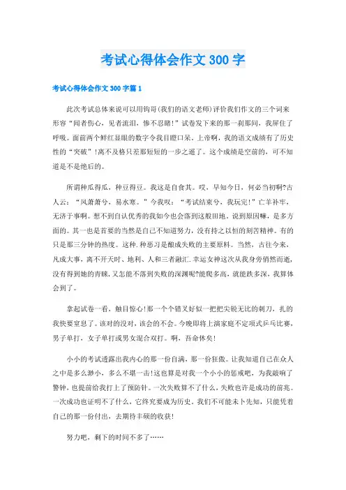 考试心得体会作文300字