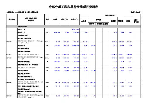 分部分项工程和单价措施项目费用表(某市政桥梁)