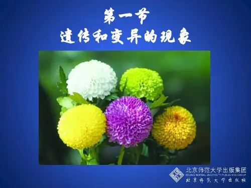 初中生物北师大版八年级上册第1节 遗传和变异现象