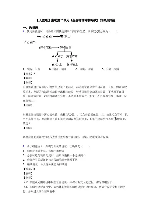 【人教版】生物第二单元《生物体的结构层次》知识点归纳