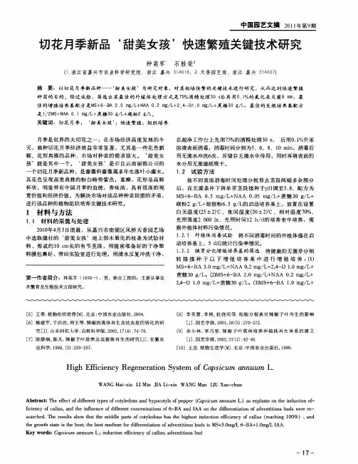 切花月季新品‘甜美女孩’快速繁殖关键技术研究