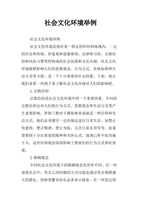 社会文化环境举例