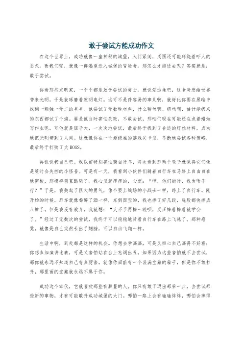 敢于尝试方能成功作文